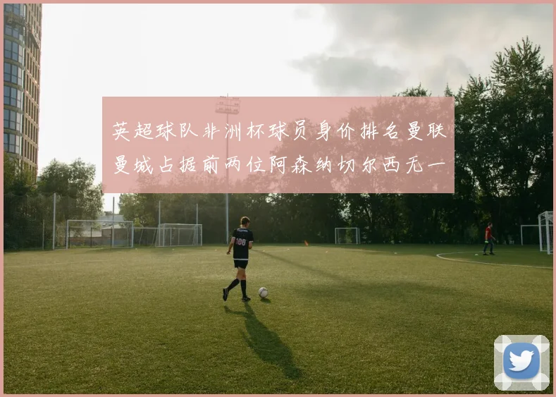 英超球队非洲杯球员身价排名曼联曼城占据前两位阿森纳切尔西无一参赛