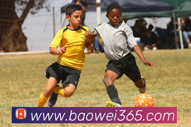 宝威体育平台生态图