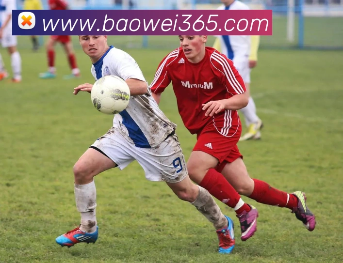 宝威体育全站App